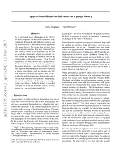 Approximate Bayesian inference as a gauge theory
