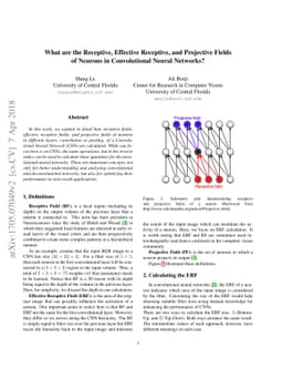 What are the Receptive, Effective Receptive, and Projective Fields of
  Neurons in Convolutional Neural Networks?