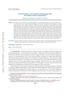 Critical Contours: An Invariant Linking Image Flow with Salient Surface
  Organization