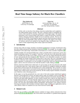 Real Time Image Saliency for Black Box Classifiers