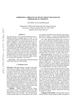 Addressing Ambiguity in Multi-target Tracking by Hierarchical Strategy