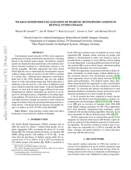 Weakly-supervised localization of diabetic retinopathy lesions in
  retinal fundus images