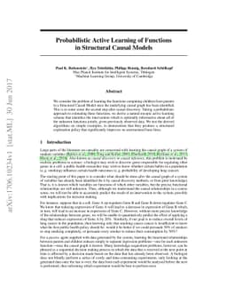 Probabilistic Active Learning of Functions in Structural Causal Models