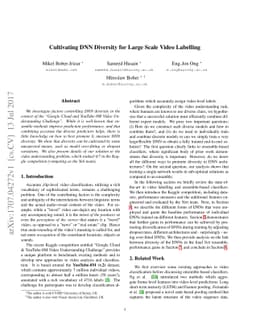 Cultivating DNN Diversity for Large Scale Video Labelling