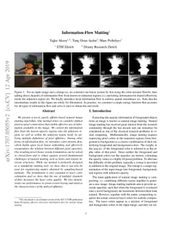 Information-Flow Matting