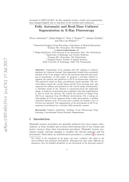 Fully Automatic and Real-Time Catheter Segmentation in X-Ray Fluoroscopy