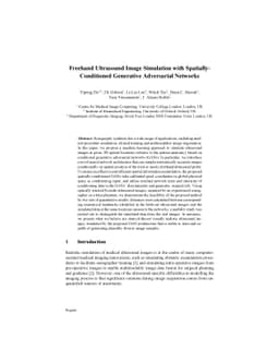 Freehand Ultrasound Image Simulation with Spatially-Conditioned
  Generative Adversarial Networks