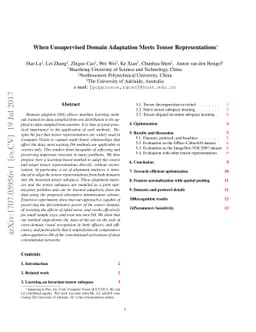 When Unsupervised Domain Adaptation Meets Tensor Representations