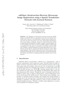 ssEMnet: Serial-section Electron Microscopy Image Registration using a
  Spatial Transformer Network with Learned Features