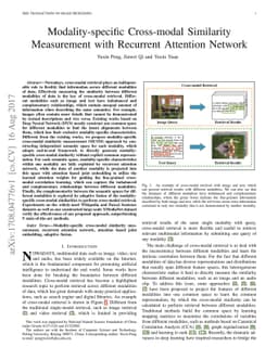 Modality-specific Cross-modal Similarity Measurement with Recurrent
  Attention Network