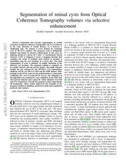 Segmentation of retinal cysts from Optical Coherence Tomography volumes
  via selective enhancement