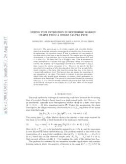 Mixing time estimation in reversible Markov chains from a single sample
  path