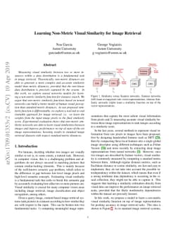Learning Non-Metric Visual Similarity for Image Retrieval