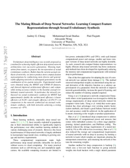 The Mating Rituals of Deep Neural Networks: Learning Compact Feature
  Representations through Sexual Evolutionary Synthesis