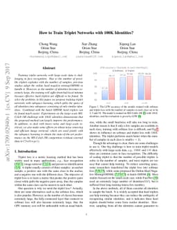 How to Train Triplet Networks with 100K Identities?