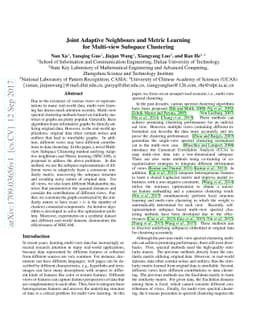 Joint Adaptive Neighbours and Metric Learning for Multi-view Subspace
  Clustering