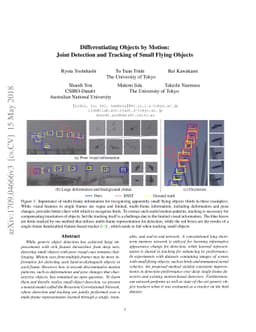 Differentiating Objects by Motion: Joint Detection and Tracking of Small
  Flying Objects