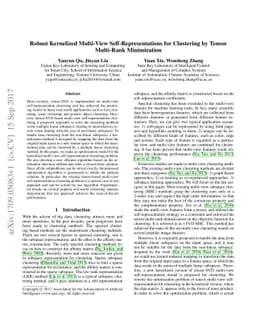 Robust Kernelized Multi-View Self-Representations for Clustering by
  Tensor Multi-Rank Minimization