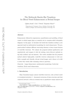 The Multiscale Bowler-Hat Transform for Blood Vessel Enhancement in
  Retinal Images