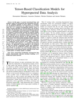 Tensor-Based Classifiers for Hyperspectral Data Analysis