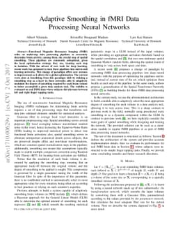 Adaptive Smoothing in fMRI Data Processing Neural Networks