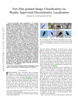 Fast Fine-grained Image Classification via Weakly Supervised
  Discriminative Localization