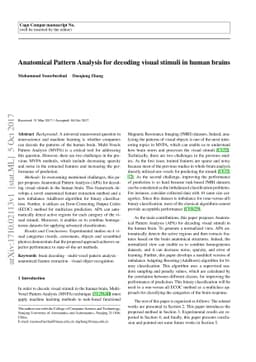 Anatomical Pattern Analysis for decoding visual stimuli in human brains
