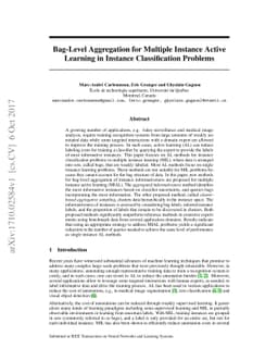 Bag-Level Aggregation for Multiple Instance Active Learning in Instance
  Classification Problems