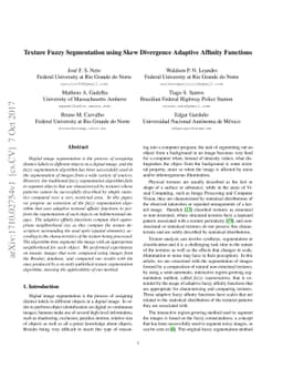 Texture Fuzzy Segmentation using Skew Divergence Adaptive Affinity
  Functions