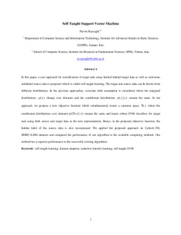 Self-Taught Support Vector Machine