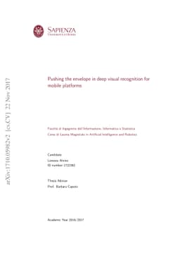 Pushing the envelope in deep visual recognition for mobile platforms