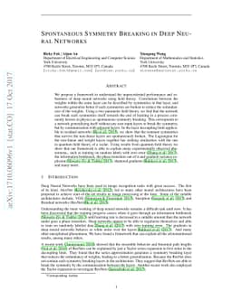 Spontaneous Symmetry Breaking in Neural Networks