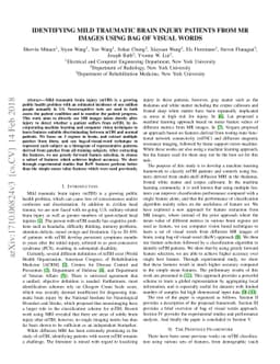 Identifying Mild Traumatic Brain Injury Patients From MR Images Using
  Bag of Visual Words