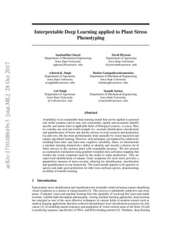 Interpretable Deep Learning applied to Plant Stress Phenotyping
