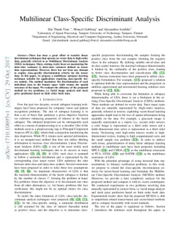 Multilinear Class-Specific Discriminant Analysis