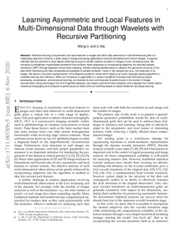 Learning Asymmetric and Local Features in Multi-Dimensional Data through
  Wavelets with Recursive Partitioning