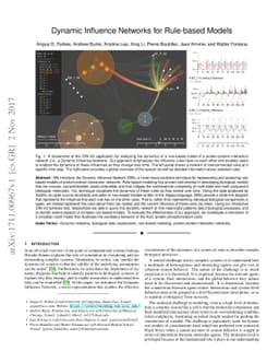 Dynamic Influence Networks for Rule-based Models