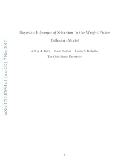 Bayesian Inference of Selection in the Wright-Fisher Diffusion Model