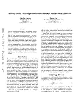 Learning Sparse Visual Representations with Leaky Capped Norm
  Regularizers