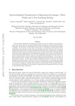 Spectral-spatial classification of hyperspectral images: three tricks
  and a new supervised learning setting