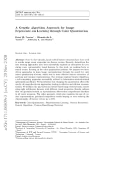 A Genetic Algorithm Approach for ImageRepresentation Learning through
  Color Quantization