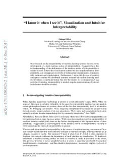 "I know it when I see it". Visualization and Intuitive Interpretability