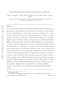 Relief-Based Feature Selection: Introduction and Review