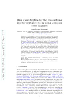 Risk quantification for the thresholding rule for multiple testing using
  Gaussian scale mixtures