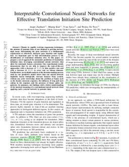 Interpretable Convolutional Neural Networks for Effective Translation
  Initiation Site Prediction