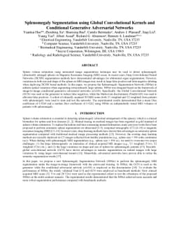 Splenomegaly Segmentation using Global Convolutional Kernels and
  Conditional Generative Adversarial Networks