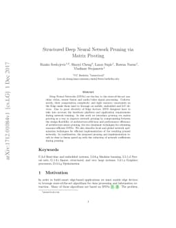 Structured Deep Neural Network Pruning via Matrix Pivoting