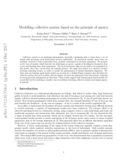 Modelling collective motion based on the principle of agency