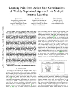 Learning Pain from Action Unit Combinations: A Weakly Supervised
  Approach via Multiple Instance Learning