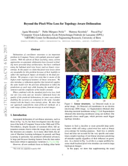 Beyond the Pixel-Wise Loss for Topology-Aware Delineation